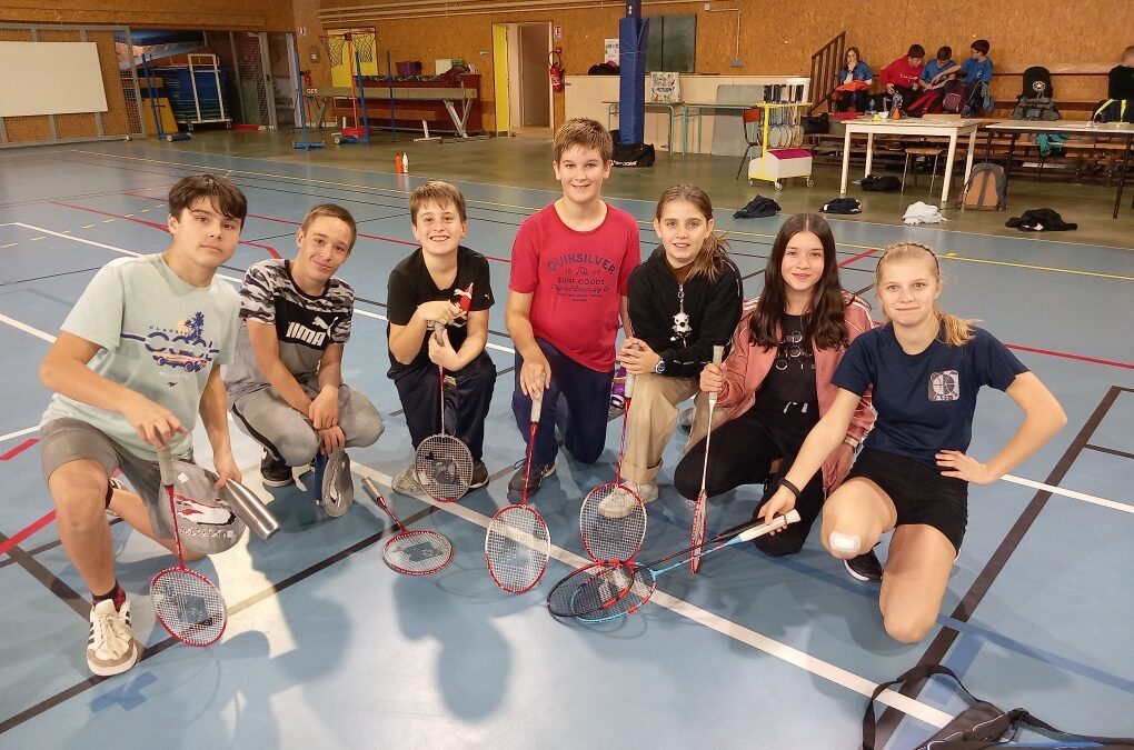 UNSS : Activités tennis de table et badminton à Mayet mercredi 16 novembre