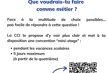 Titre : Mini-stage à la CCI pendant les vacances scolaires (à partir de la 4ème)